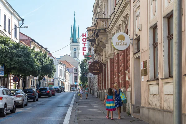 Uitzicht van de stad Nitra in Slowakije. Nitra heeft bevolking van abou — Stockfoto