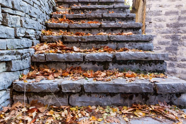 Old stairs in park covered with yellow maple leaves. Autumn conc — Stock Photo, Image