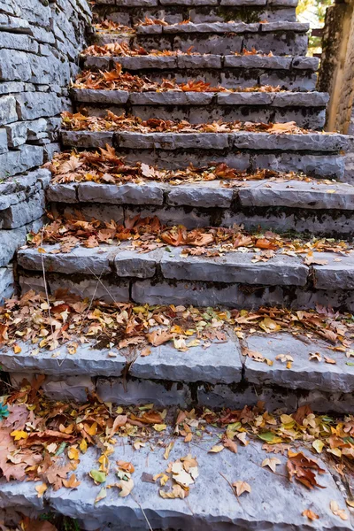 Old stairs in park covered with yellow maple leaves. Autumn conc — Stock Photo, Image