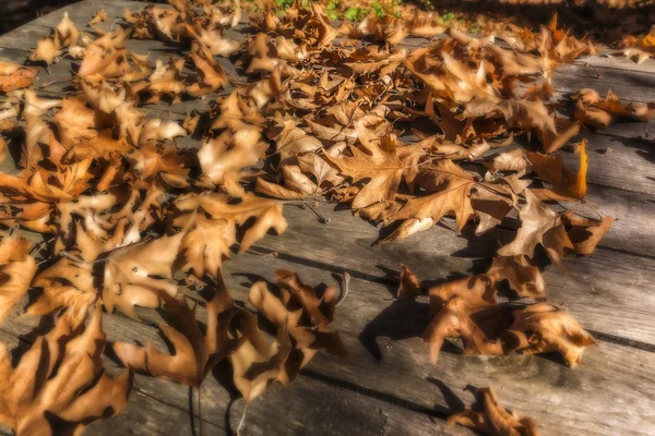 Folhas de queda no fundo de madeira rústica. Imagem de fundo — Fotografia de Stock