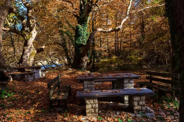 Picnic table covered with leaves in the forest — Stock Photo, Image