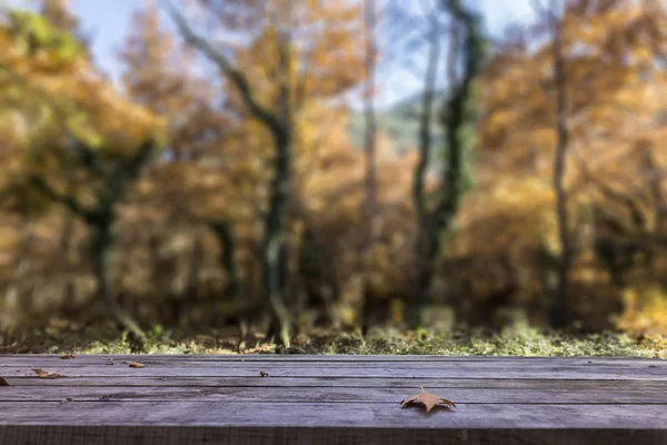 Feuilles d'automne sur table en bois rustique avec la forêt sur le backgr — Photo