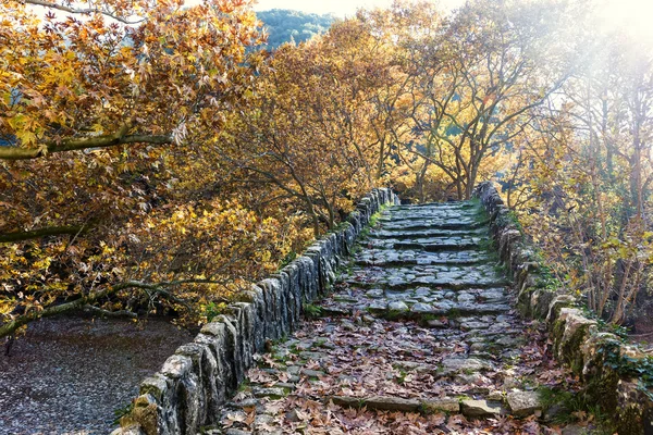 Old stair bridge in park covered with yellow maple leaves.autumn — Stock Photo, Image