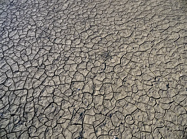 Dry lake bed with natural texture of cracked clay in perspective