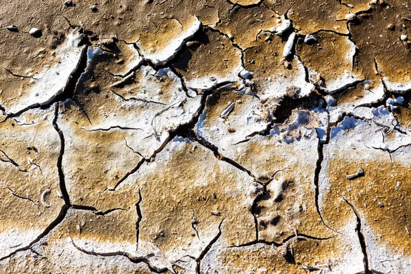 Dry lake bed with natural texture of cracked clay in perspective — Stock Photo, Image