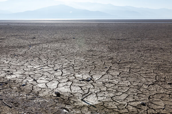 Dry lake bed with natural texture of cracked clay in perspective