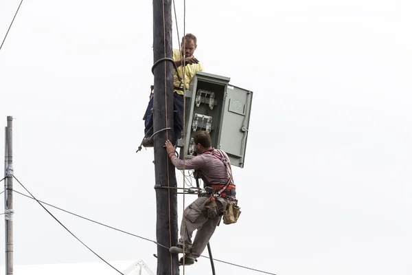 Ouvriers grimpant sur la ligne de transport de poteaux en béton électrique t — Photo
