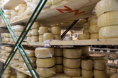 İnek sütü peynir, ahşap raflar içinde depolanan ve olgun kişi bir