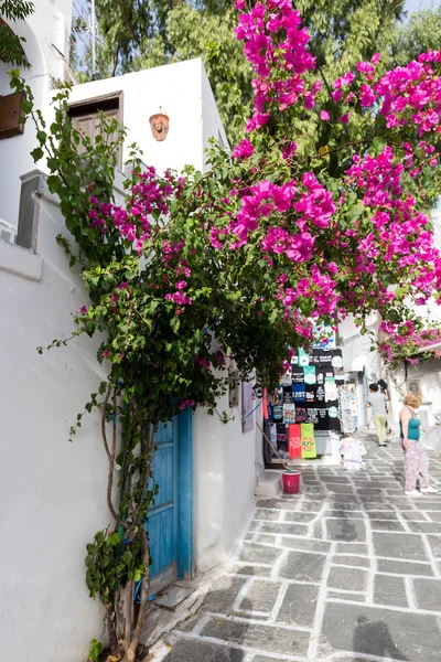 Pretty Greek Path in Ios island, Cyclades, Greece. — Stock Photo, Image
