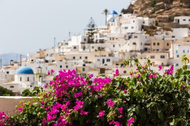 Harika manzarasını şehir binaları Ios Island, Yunanistan