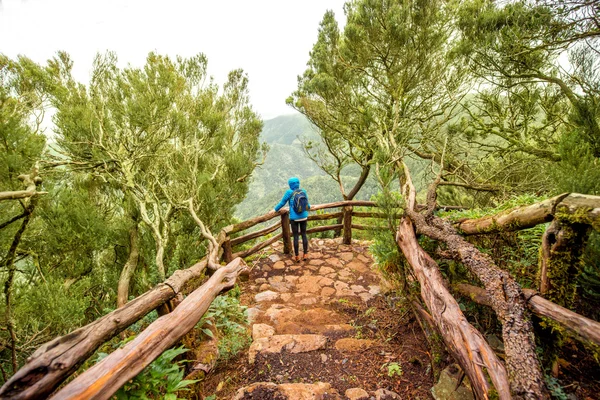 Parque Garajonay na ilha de La Gomera — Fotografia de Stock