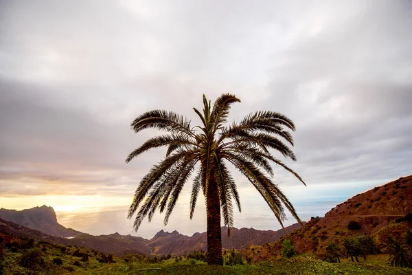 La gomera krajina — Stock fotografie