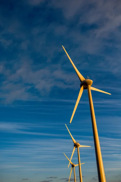 Elektrische windmolens op de hemelachtergrond — Stockfoto