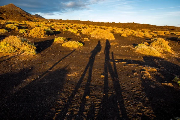 Volcanic landscape on La Palma island — Stock Photo, Image