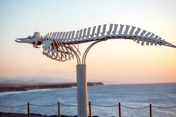 Monumento al esqueleto de pescado en la isla de Fuerteventura — Foto de Stock