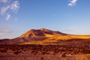Fuerteventura adada ıssız manzara