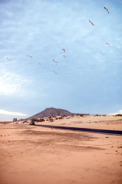 Estrada do deserto na ilha de Fuerteventura — Fotografia de Stock