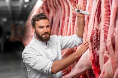 Butcher measuring pork temprature clipart