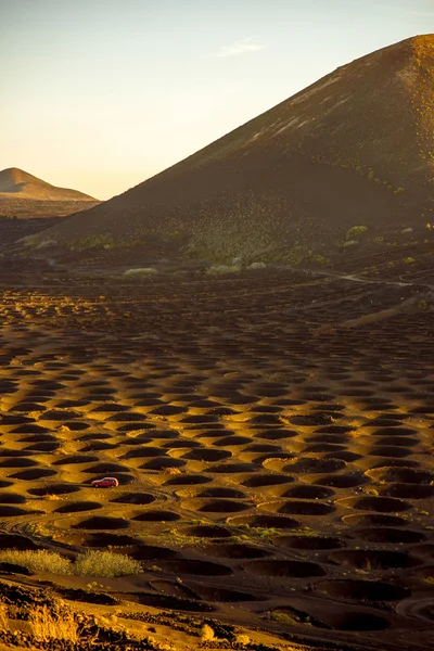 Vulkanische wijngaard met vineholes — Stockfoto