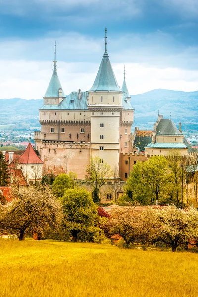 Slottet i Slovakien — Stockfoto