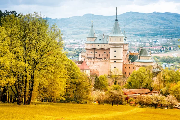 Castello in Slovacchia — Stockfoto