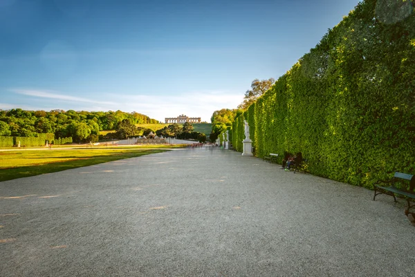 Schonbrunn zahrady ve Vídni — Stock fotografie