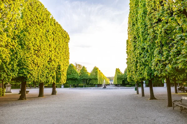 Beco verde em jardins Schonbrunn — Fotografia de Stock