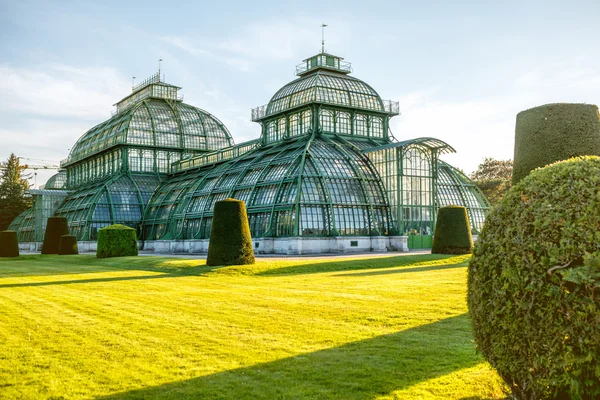 Palmenhaus em jardins Schonbrunn — Fotografia de Stock