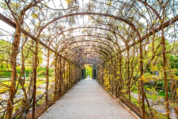 Schoenbrunn jardines en Viena — Foto de Stock