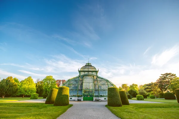 Palmenhaus en los jardines Schonbrunn — Foto de Stock