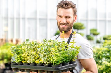 Bahçıvan holding tencere bitkiler ile