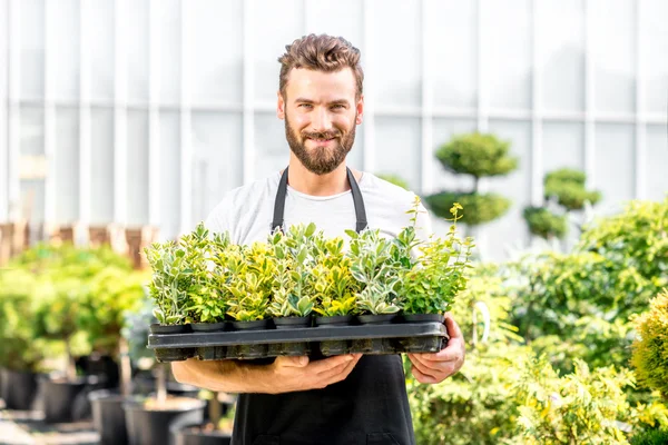 Bahçıvan holding tencere bitkiler ile