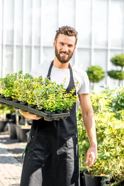 Bahçıvan holding tencere bitkiler ile