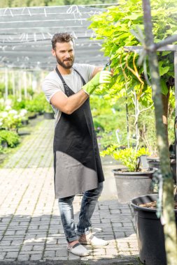 Bahçıvan ağaç budama