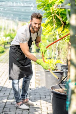 Yakışıklı bahçıvan sulama ağaç