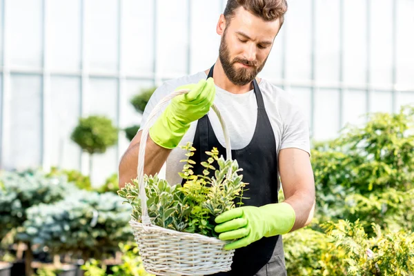 Jardineiro com uma cesta cheia de plantas — Fotografia de Stock