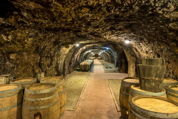 Wine cellar with barrels — Stock Photo, Image
