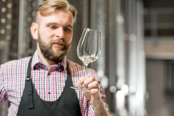 Wine maker at the manufacture — Stock Photo, Image