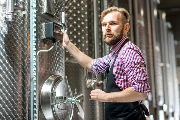 Wine maker at the manufacture — Stock Photo, Image