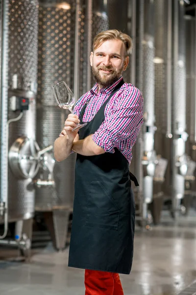 Wine maker at the manufacture — Stock Photo, Image