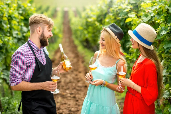 Dégustation de vin sur le vignoble — Photo