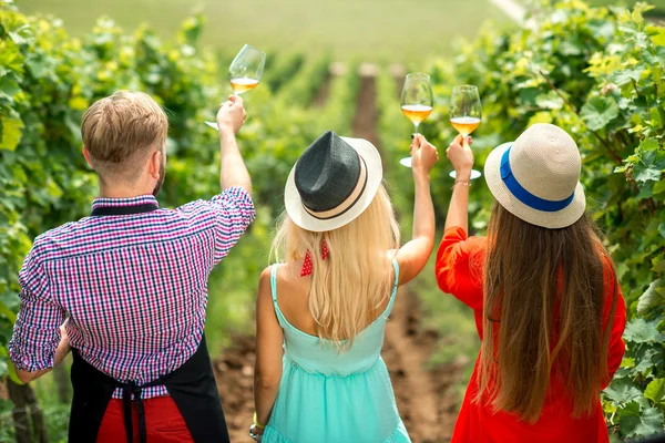 Wine degustation on the vineyard — Stok fotoğraf