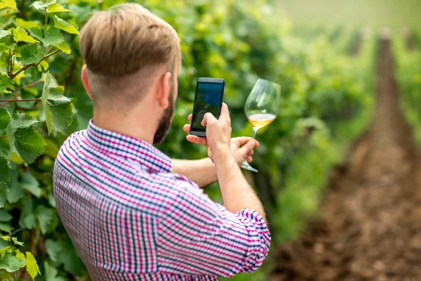 Człowiek fotografując kieliszek wina — Zdjęcie stockowe