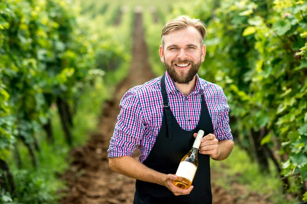 Portrait of wine maker on the vineyard — Stock Photo, Image