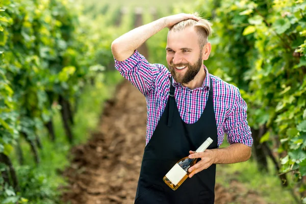 Portrait of wine maker on the vineyard — Stock Photo, Image