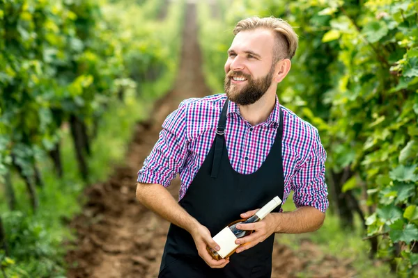 Портрет виноробів на винограднику — стокове фото
