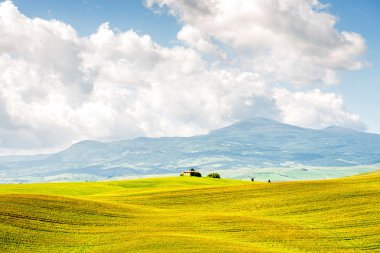 Güzel Toskana Manzaralı
