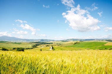 Güzel Toskana Manzaralı
