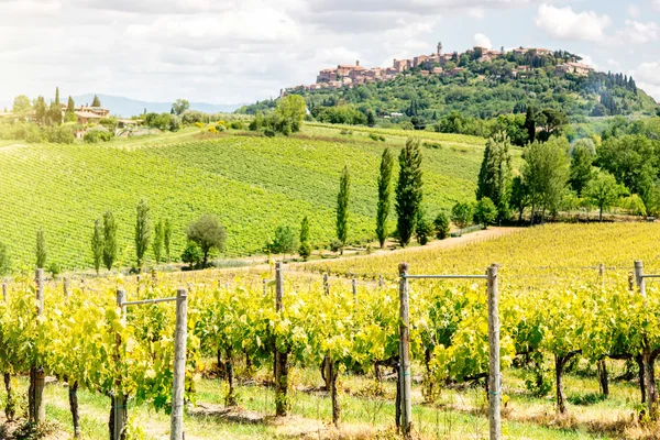 Beautiful tuscan landscape view — Stock Photo, Image