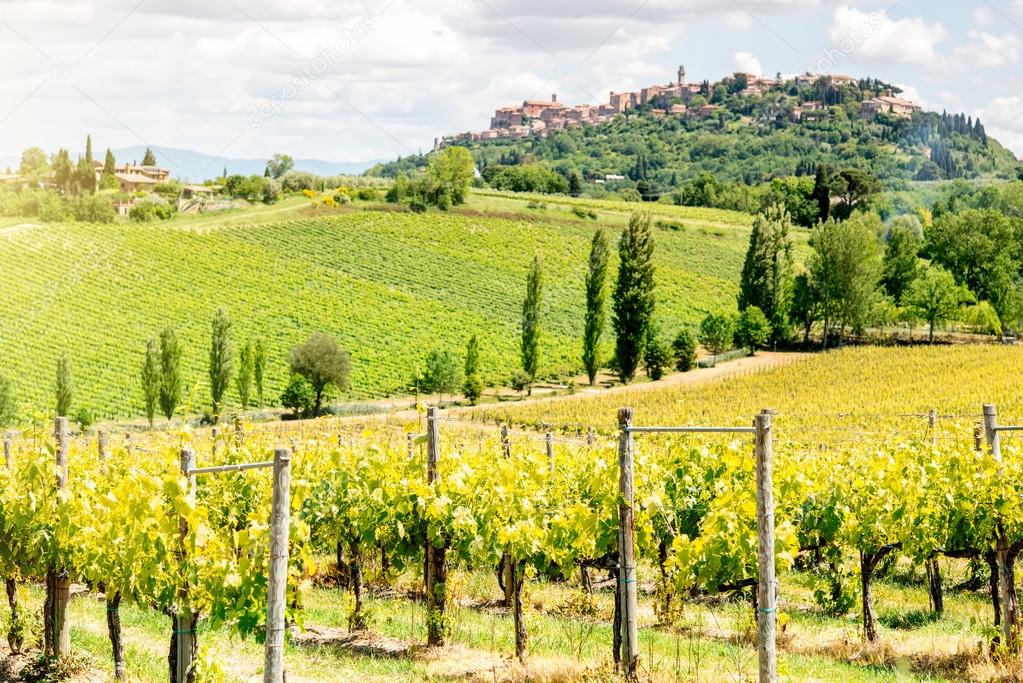 Beautiful tuscan landscape view